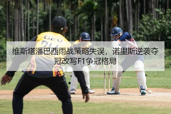 维斯塔潘巴西雨战策略失误，诺里斯逆袭夺冠改写F1争冠格局